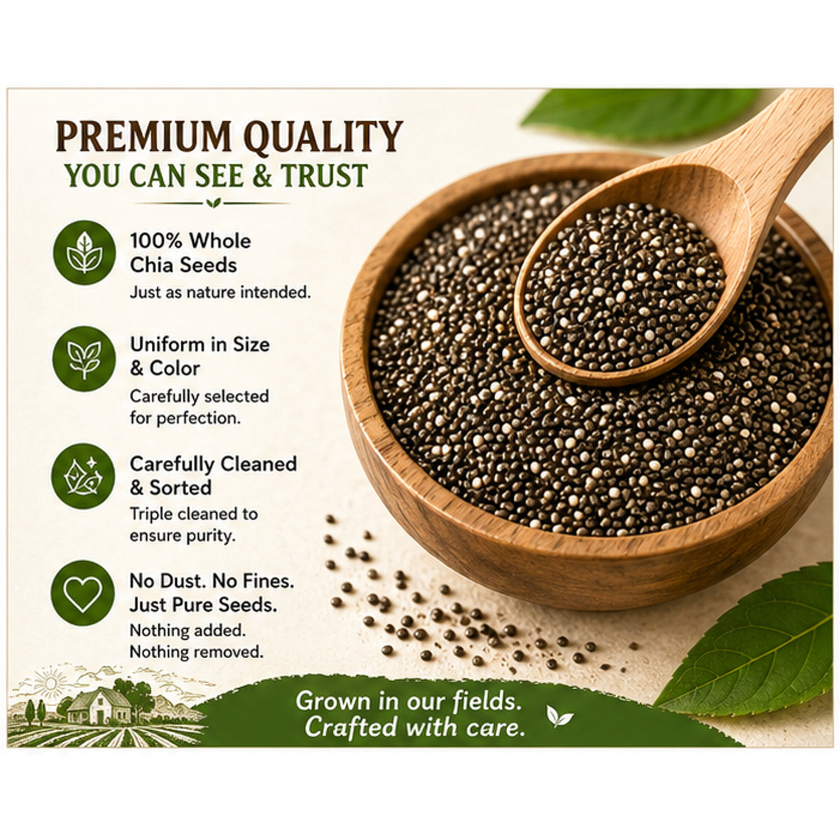 Whole Chia Seeds | From Our Farms to Your Home | 100% Natural & Unprocessed | Triple Sorted | No Dust & Stone | Rich in Fiber, Protein & Omega 3 | Non-GMO Superfood